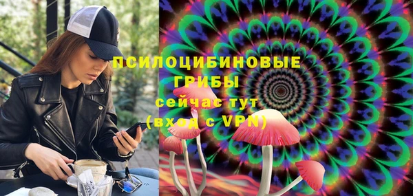 прущий лед Алзамай