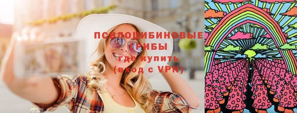 прущий лед Алзамай