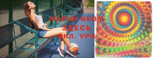 молекула духа Медвежьегорск