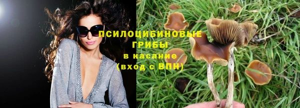 apvp Абдулино