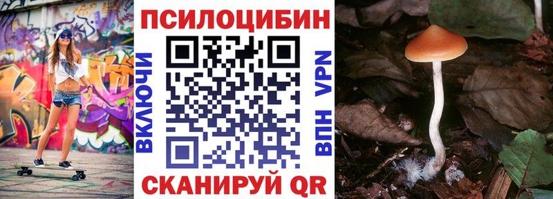 Псилоцибиновые грибы Cubensis  Поворино 